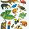 Rainforest Animals Printable