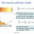 Reaction-Diffusion Model