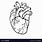 Realistic Heart Symbol