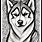 Realistic Husky Coloring Pages