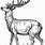 Red Deer Coloring Page