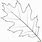 Red Oak Leaf Drawing