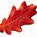 Red Oak Leaf White Background