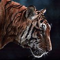 Red and Blue Painting of a Digital Tiger