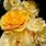 Romantic Yellow Roses