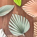 Royal Icing Paper Palm Leaves