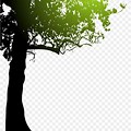 Royalty Free Tree Silhouette