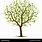 Royalty Free Tree Vector