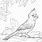 State Bird Coloring Page