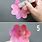 Steps to Make Paper Roses