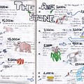 Stone Age Timeline Project