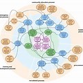 Strategy Alignment Map Tableau