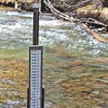 Stream Gauge Station