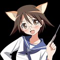 Strike Witches School Uniform