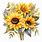 Sunflower Bouquet Clip Art