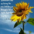 Sunflower Quotes and Sayings