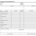 Sample Lab Audit Sheet