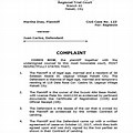 Sample of a Legal Complaint