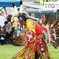 Schiller Park Pow WoW