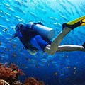 Scuba Diver Diving Straight Down