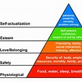 Self-Actualization Maslow