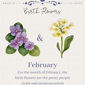 September and February Birth Flower