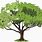 Shade Tree Clip Art