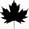 Silhouette of Maple Leaf