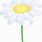 Single Daisy Clip Art