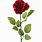 Single Red Rose with Stem