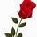 Single Red Rose Clip Art