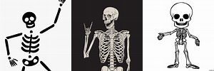 Skeleton Drawing Easy Black Background