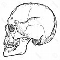 Skull Drawing Side View Ghost