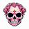 Skull Flowers PNG