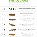 Small/Medium Large Bowel Movement Chart