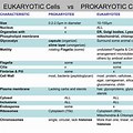 Small Comparative Chart in Cell