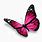 Small Pink Butterfly