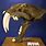 Smilodon Fatalis Skull