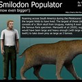 Smilodon Populator Size Comparison