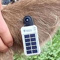 Solar Powered Asset Tracker