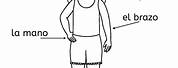 Spanish Coloring Pages Body Parts