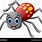 Spider in Cartoon