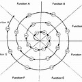 Spiral Arrangement Examples in Science