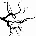 Spooky Tree Branch Silhouette Clip Art