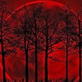 Spooky Tree with Red Moon HD PNG