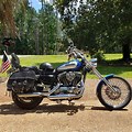 Sportster with a 42 Deg Rake