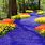 Spring Flower Path