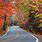 Tunnel of Trees Michigan Fall