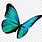 Turquoise Butterfly Clip Art