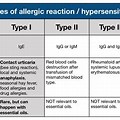 Type 1 Allergic Reaction